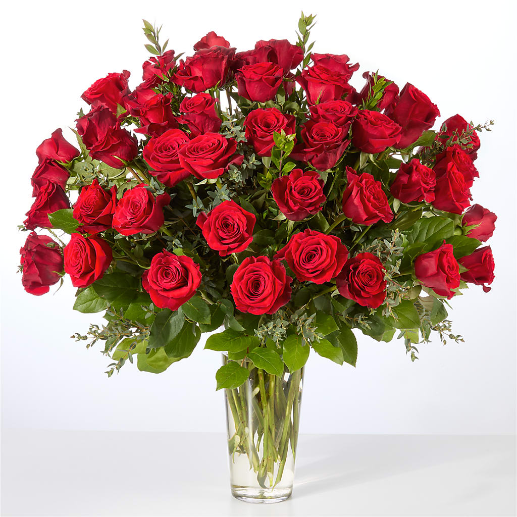 Forever Yours Fifty Stem Red Rose Bouquet – City Florist, Prestonsburg KY