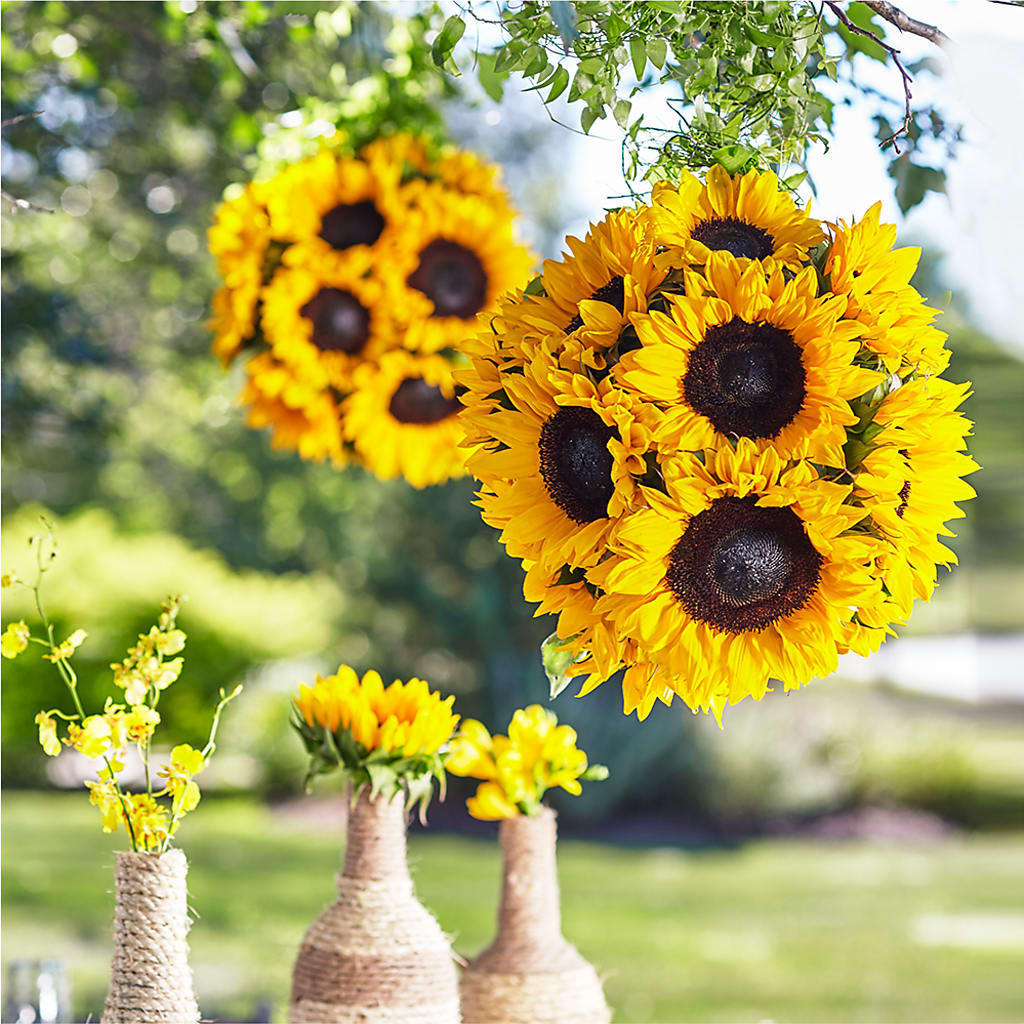 Sublime Garden Hanging Arrangement – City Florist, Prestonsburg KY
