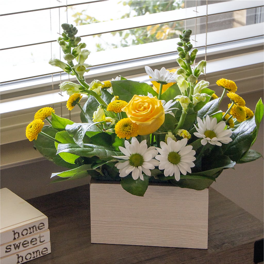 Sun Salutation Box Bouquet –  City Florist, Prestonsburg KY