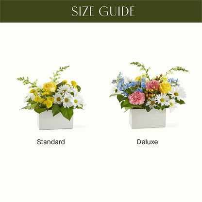 Sun Salutation Box Bouquet –  City Florist, Prestonsburg KY