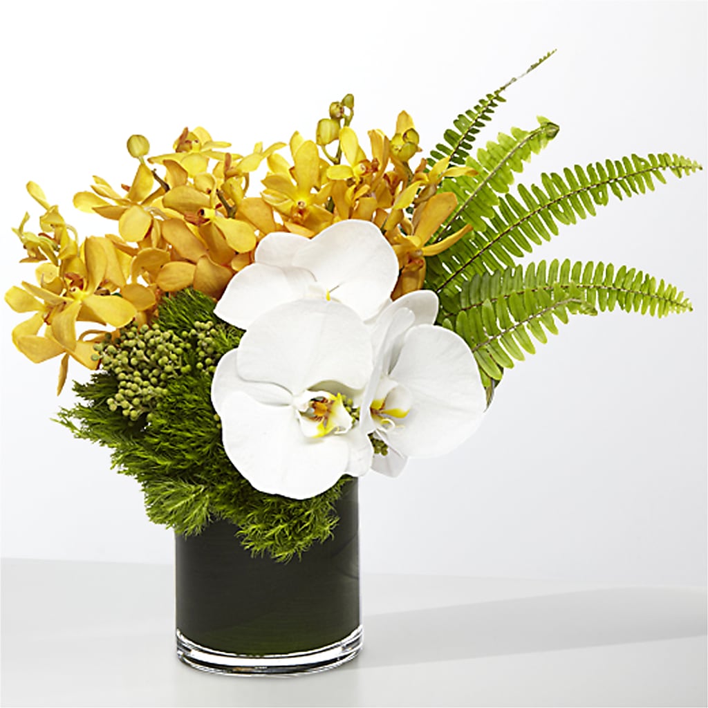 The Tropics –  City Florist, Prestonsburg KY