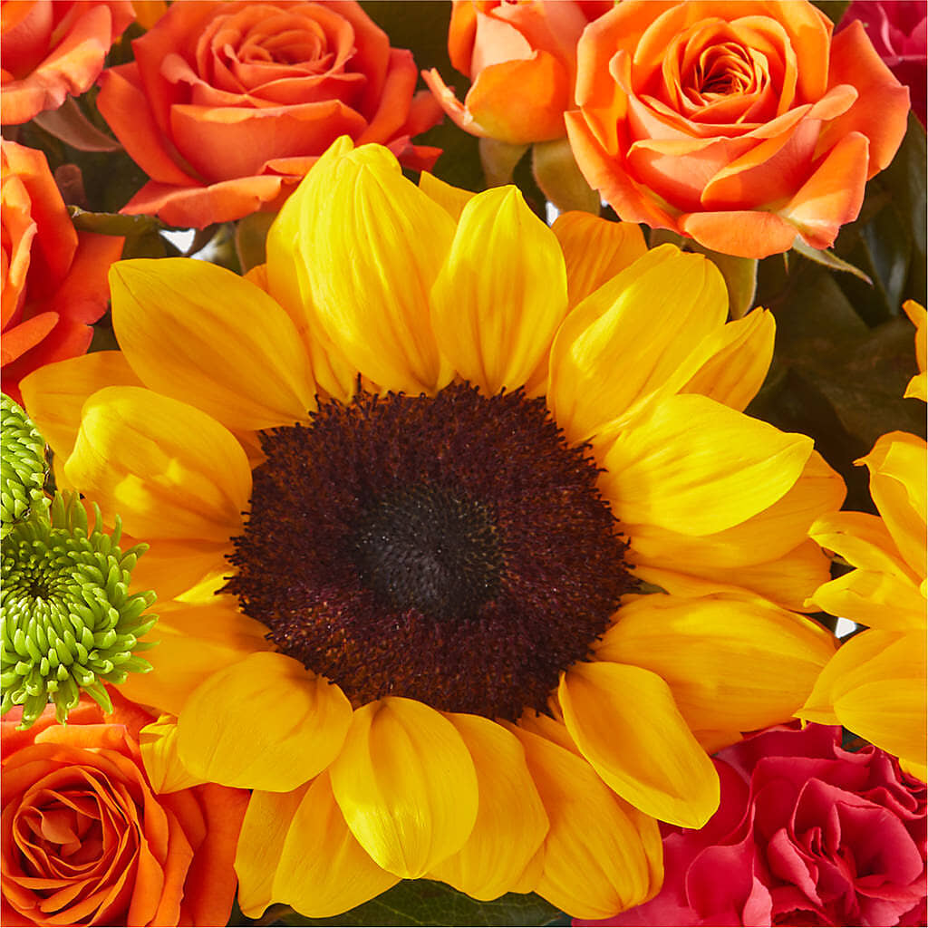 Sun-drenched Blooms Box Bouquet –  City Florist, Prestonsburg KY