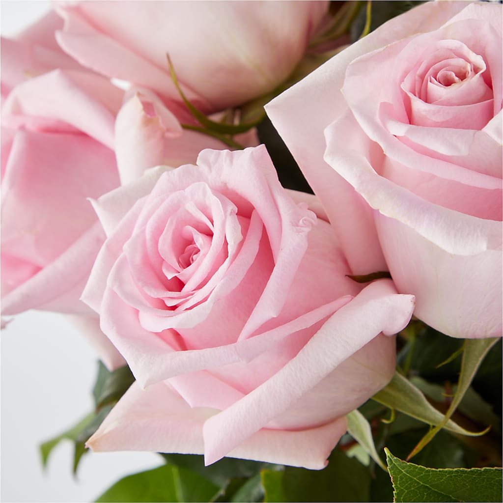 Picture Perfect Pink Rose Bouquet –  City Florist, Prestonsburg KY