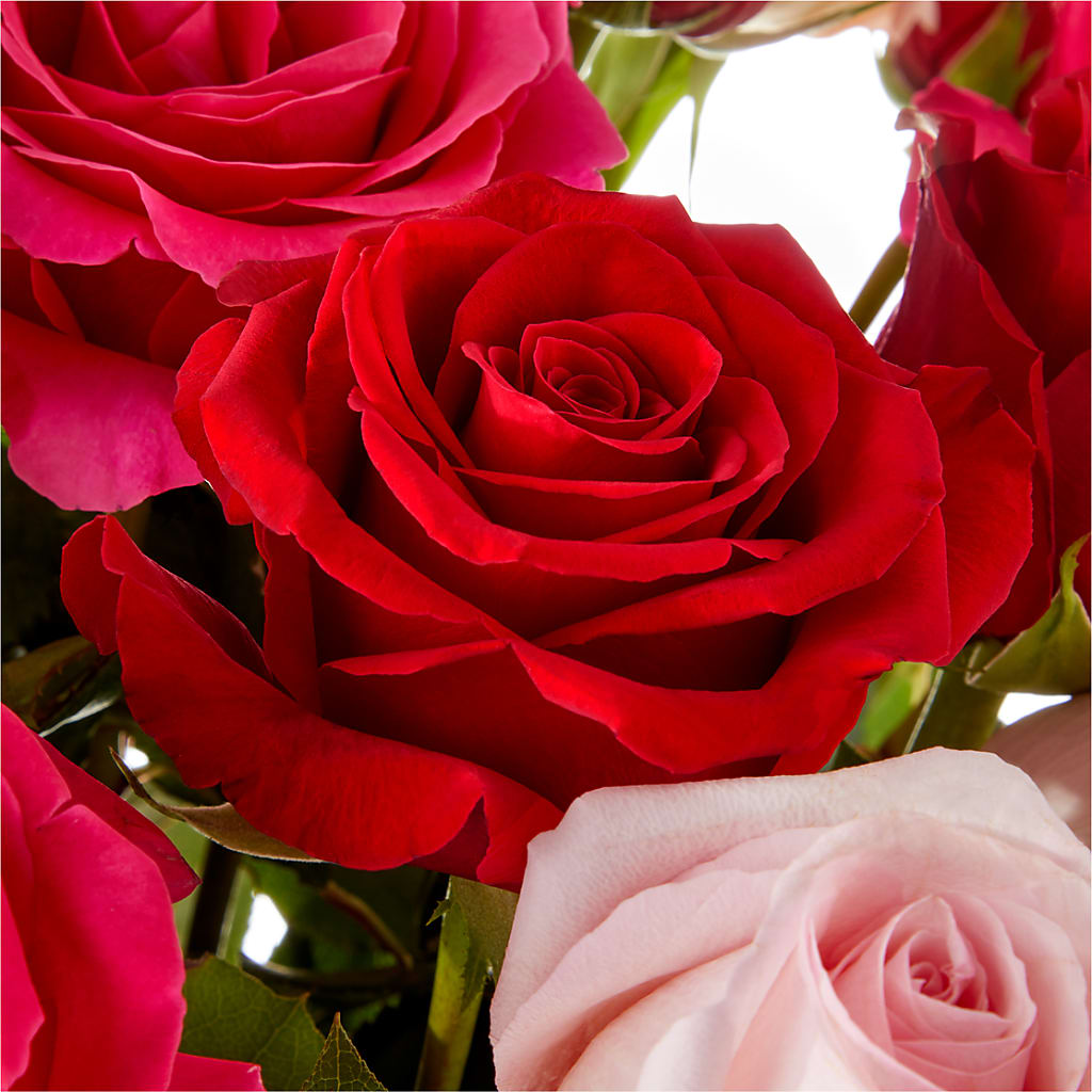 Love Notes Rose Bouquet –  City Florist, Prestonsburg KY