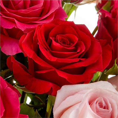 Love Notes Rose Bouquet –  City Florist, Prestonsburg KY