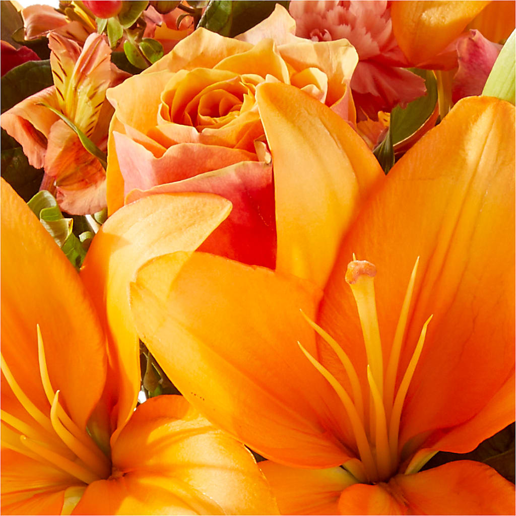 Afternoon Light Bouquet –  City Florist, Prestonsburg KY