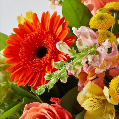 Autumn Sunshine Bouquet –  City Florist, Prestonsburg KY