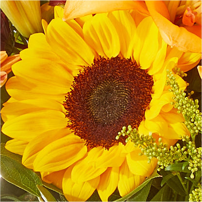 Seasons Change Bouquet –  City Florist, Prestonsburg KY
