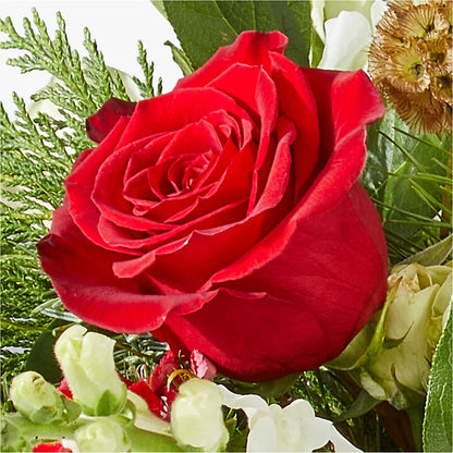 Deck the Halls Bouquet –  City Florist, Prestonsburg KY
